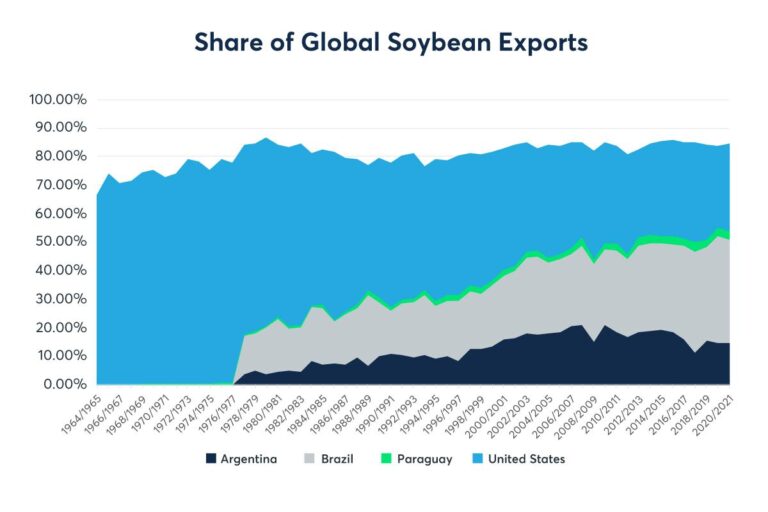Brazil’s Soybean Exports to China May Fall Short of Expectations Brazil’s Soybean Exports to China May Fall Short of Expectations