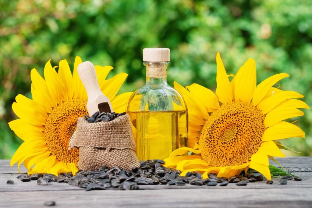 UK’s Refined Sunflower and Safflower Oil Market Set to Skyrocket to 168K Tons and $331M by 2035