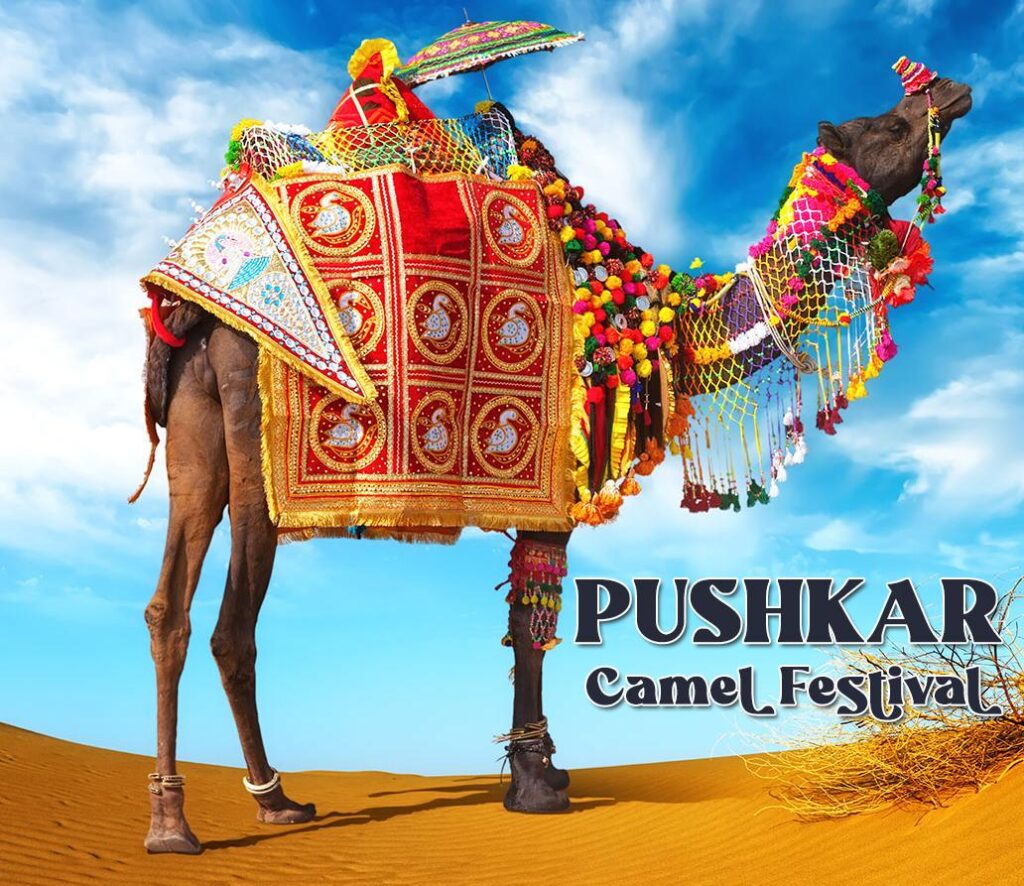 Colorful Moments from the Lively Camel Fair in India’s Desert Town of Pushkar Colorful Moments from the Lively Camel Fair in India’s Desert Town of Pushkar