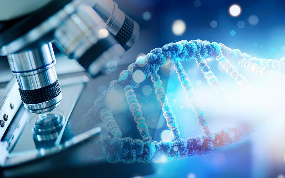 Australia’s Neuren Pharma Plummets to Over 2-Month Low Following Royalty Outlook Revision