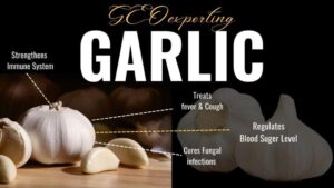Egypt Rockets to Second Place in Spain’s Garlic Export Market