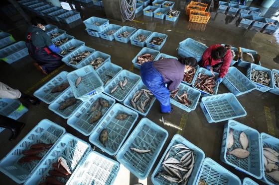 Japan Resumes Seafood Exports to China After Two-Year Pause Amid Fukushima Wastewater Concerns