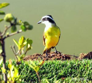 Watch This Chinese Company’s New Humanoid Robot Move So Smoothly They Had to Cut It Open to Prove It’s Real