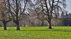 Scottsdale Fugitive Nabbed in France for 2008 Child Sex Crimes