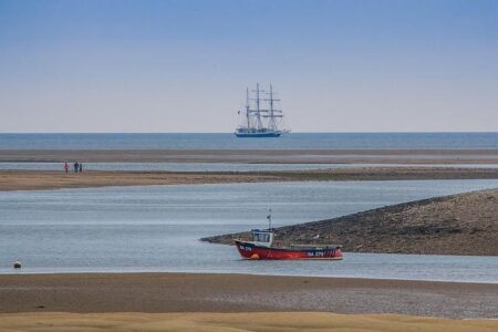 Wales Stunned by Argentina as Steve Tandy Prepares for a Crucial Test Ahead