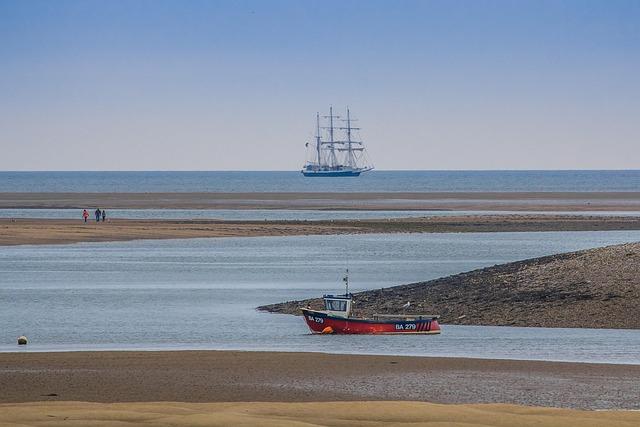 Wales Stunned by Argentina as Steve Tandy Prepares for a Crucial Test Ahead
