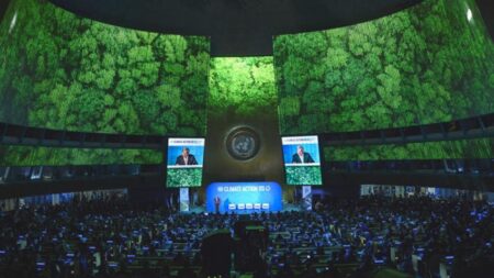 Your Essential Guide to COP30: Key Terms and Insights from This Year’s UN Climate Summit in Brazil