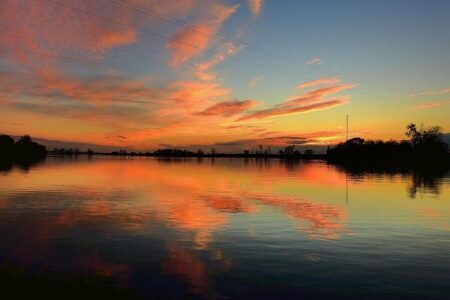 Canada Loses Measles Elimination Status as Outbreaks Continue to Spread
