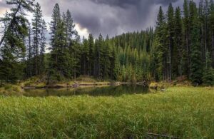 Inside the Bank of Canada’s Debate: Why the October Rate Cut Almost Didn’t Happen
