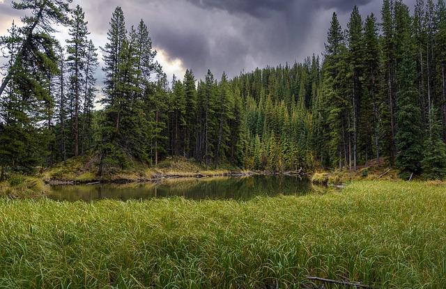 Inside the Bank of Canada’s Debate: Why the October Rate Cut Almost Didn’t Happen