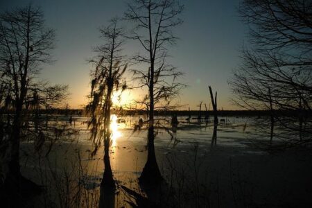 Supreme Court Announces Date for Crucial Showdown Over Louisiana’s Disappearing Coastline