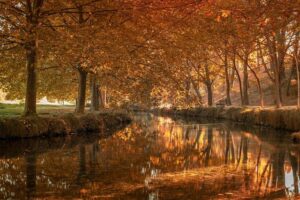 La Niña Poised to Transform This Winter’s Weather Patterns