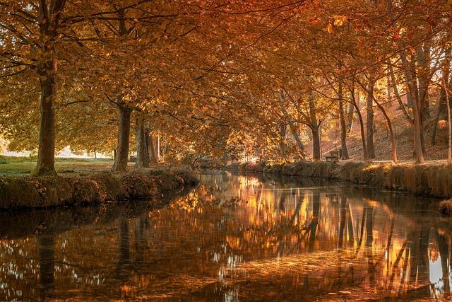 La Niña Poised to Transform This Winter’s Weather Patterns La Niña Poised to Transform This Winter’s Weather Patterns