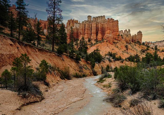 Very, Very Dangerous’: USA’s Victory Over Paraguay Eclipsed by Intense Late-Game Brawl Very, Very Dangerous’: USA’s Victory Over Paraguay Eclipsed by Intense Late-Game Brawl