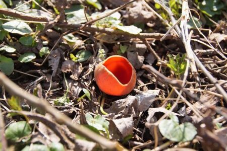 US Rushes to Secure Vital Rare Earths from China Amid Rising Supply Fears US Rushes to Secure Vital Rare Earths from China Amid Rising Supply Fears