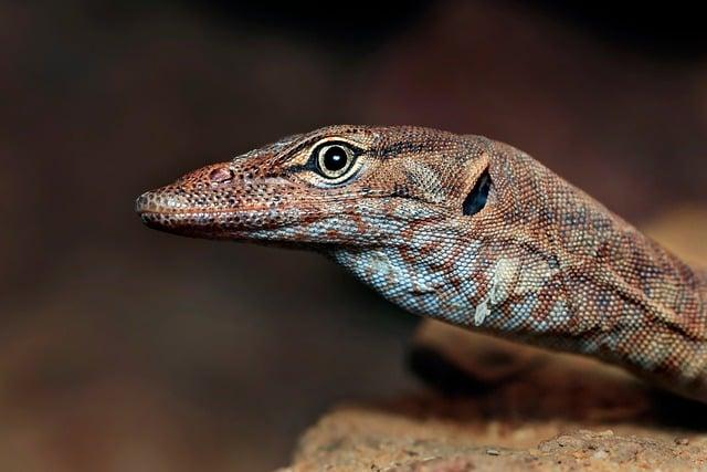 Why Southern Australia’s Seasons Are Falling Out of Sync-and What It Means for You Why Southern Australia’s Seasons Are Falling Out of Sync-and What It Means for You