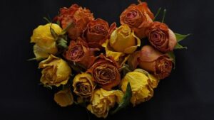 After 25 Years in the US, Man Moves to India and Reveals Surprising ‘Deal Breaker’ Keeping Wealthy NRIs Away