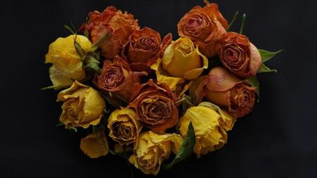 After 25 Years in the US, Man Moves to India and Reveals Surprising ‘Deal Breaker’ Keeping Wealthy NRIs Away After 25 Years in the US, Man Moves to India and Reveals Surprising ‘Deal Breaker’ Keeping Wealthy NRIs Away