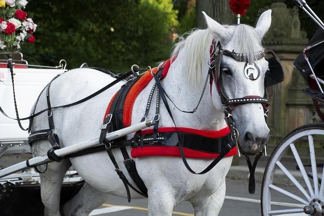 I’m the USA Coach!” – Pochettino’s Fiery Response to Reporter’s Question