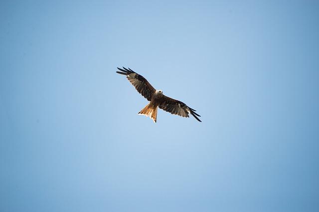 Twitch Banned for Under-16s in New Social Media Crackdown