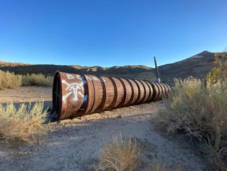 Schmidt Stays Calm Amid Wallabies’ Struggles Ahead of Crucial France Test