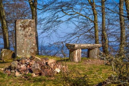 How Anti-India Sentiment Spread Across America-From Online Spaces to Real Life How Anti-India Sentiment Spread Across America-From Online Spaces to Real Life