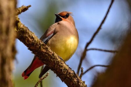 Rangers Shock Fans by Cutting Ties with World Series Hero Adolis Garcia in Stunning MLB Move