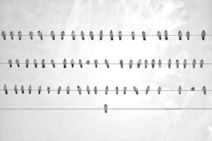 Israel to Welcome Thousands from India’s Jewish ‘Lost Tribe’ in Historic Homecoming