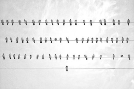 Israel to Welcome Thousands from India’s Jewish ‘Lost Tribe’ in Historic Homecoming