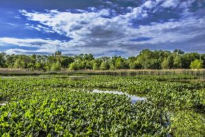 Wildlife Refuge Managers Reveal the Real Struggles Behind Staffing Shortages