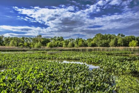 Wildlife Refuge Managers Reveal the Real Struggles Behind Staffing Shortages Wildlife Refuge Managers Reveal the Real Struggles Behind Staffing Shortages