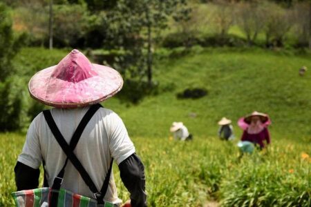 Taiwan’s Premier Cho Jung-tai Boldly Declares: “Taiwan Will Never Return to China