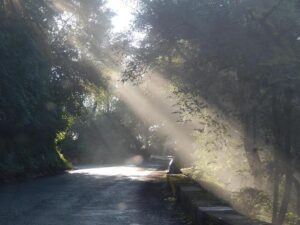 Javier Milei’s Bold Vision to Transform Argentina and Inspire the World