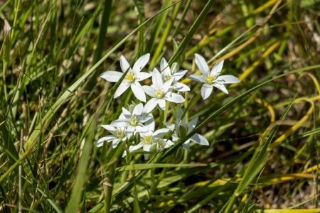 Justin Jefferson Falls Silent Following Career-Worst Showing in Vikings’ Devastating Shutout Defeat