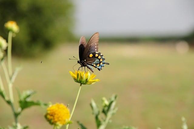 Explore How Eight Leading Countries Are Transforming Global Travel in 2025 with Unforgettable Experiences and Breathtaking New Destinations