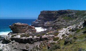 Rising Star Mateo Diaz Ignites Maine’s Charge at USA Track and Field Event