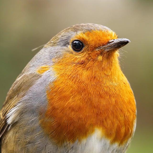 UK Public’s Inflation Expectations Ease Slightly in November UK Public’s Inflation Expectations Ease Slightly in November