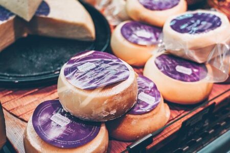 Brazil’s Dairy Market Soars as Demand for Premium Quality Products Surges Brazil’s Dairy Market Soars as Demand for Premium Quality Products Surges