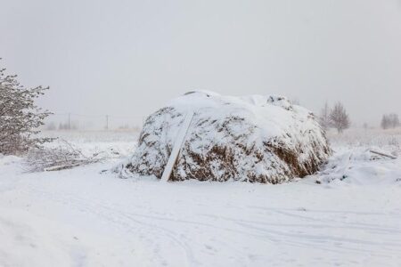 Mark Carney’s Actions Spark Concerns Over Rising Antisemitism in Canada Mark Carney’s Actions Spark Concerns Over Rising Antisemitism in Canada