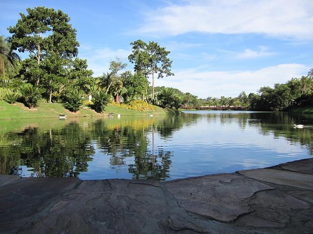 Inhotim Marks 20 Years with Thrilling New Developments