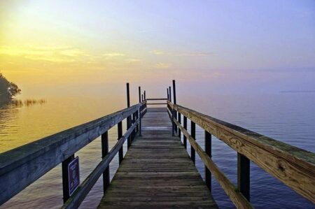 Inside the Breathtaking Richard Mille Luxury Watch Worth Rs 11 Crore Gifted to Messi in India Inside the Breathtaking Richard Mille Luxury Watch Worth Rs 11 Crore Gifted to Messi in India