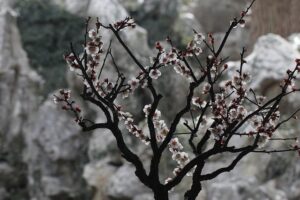 Surging Flu Cases Among Canadian Children Raise Alarms Over Health-Care Capacity