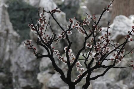 Surging Flu Cases Among Canadian Children Raise Alarms Over Health-Care Capacity