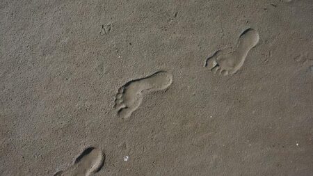 Thousands of Dinosaur Footprints Discovered in Italy Unlock Ancient Mysteries