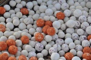 Uzbekistan and Japan Launch Over $12 Billion in Thrilling New Strategic Projects