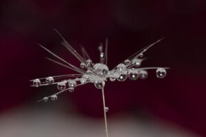 3 UK Growth Companies with Remarkably High Insider Ownership