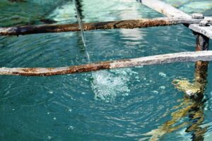 US Drives Global Momentum as India’s Tourism Set to Soar with Over 8% Growth by 2025