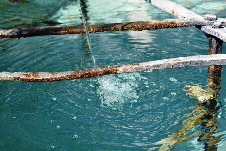 US Drives Global Momentum as India’s Tourism Set to Soar with Over 8% Growth by 2025