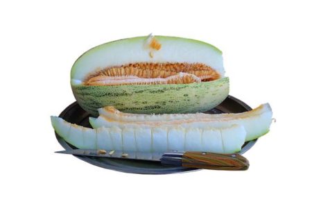 Italian PM Giorgia Meloni Sounds Urgent Alarm for 2026 Amid Rising Public Uncertainty