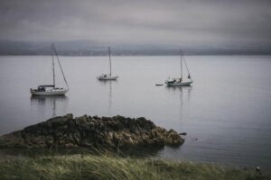 Exploring the UK’s Economic Journey: Annual GDP Growth Trends from 1949 to 2024